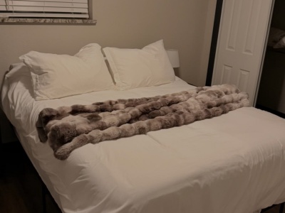 Doc Holliday Cabin 13