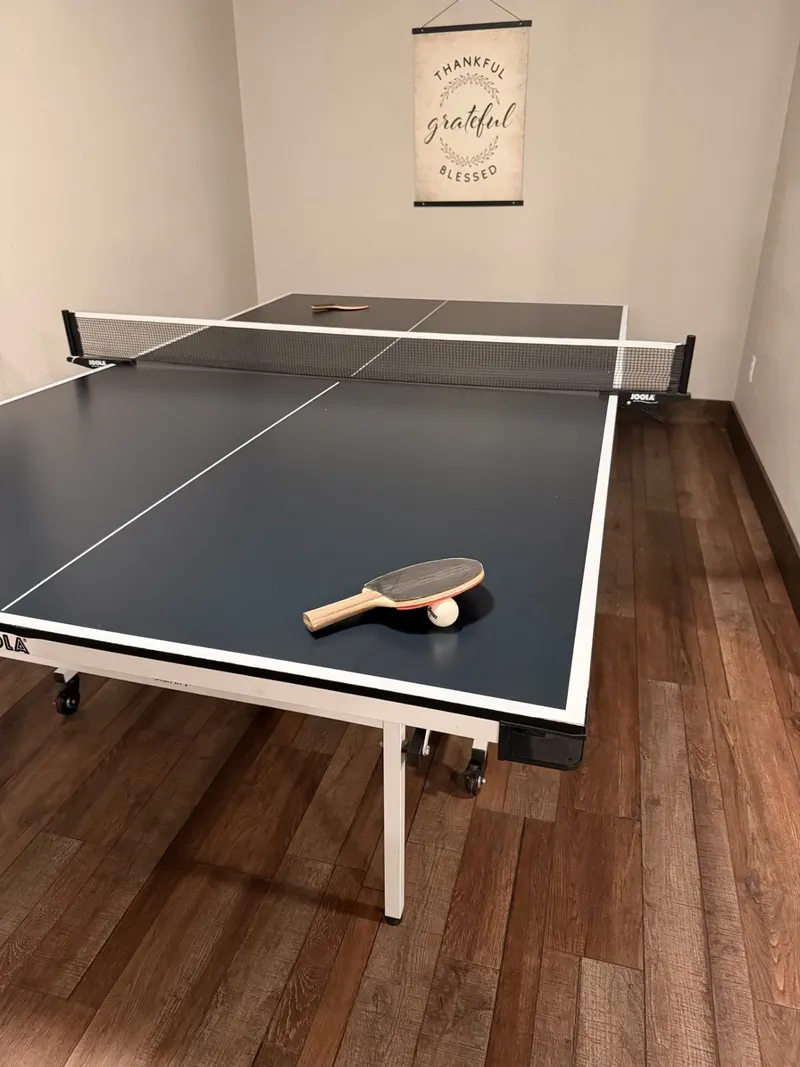 Ping Pong Table